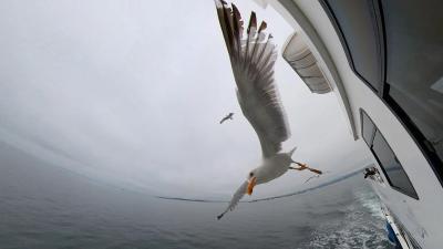 Прикрепленное изображение: изображение_viber_2022-07-14_14-58-28-400.jpg